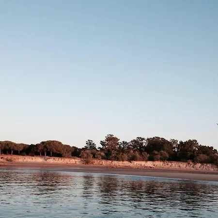 House - Island *