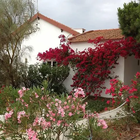 House - Island Tavira