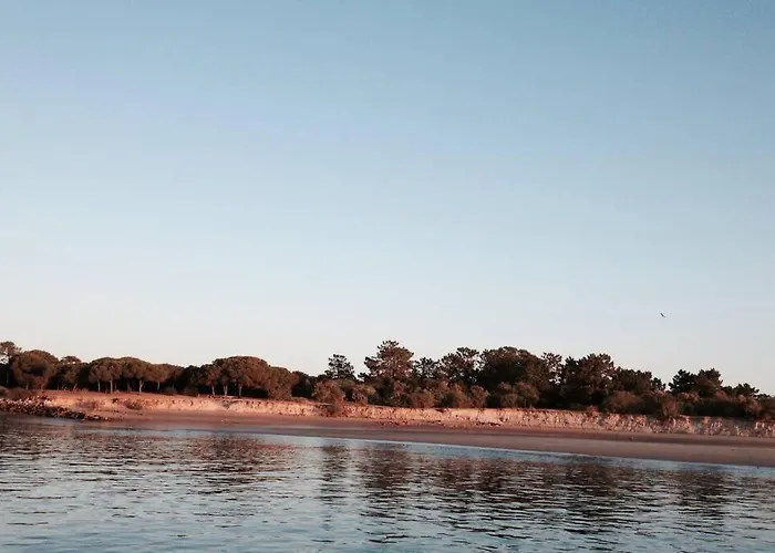 House - Island *
