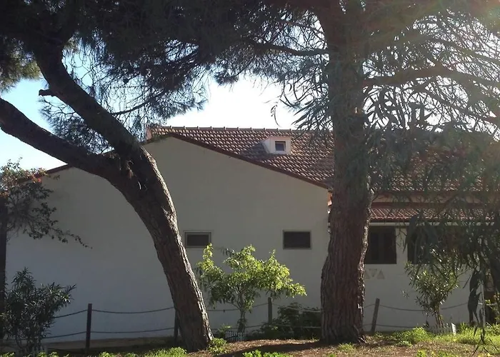 Hébergement de vacances House - Island