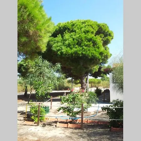 House - Island * Tavira