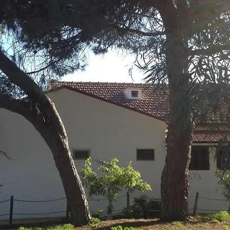 Nyaraló House - Island