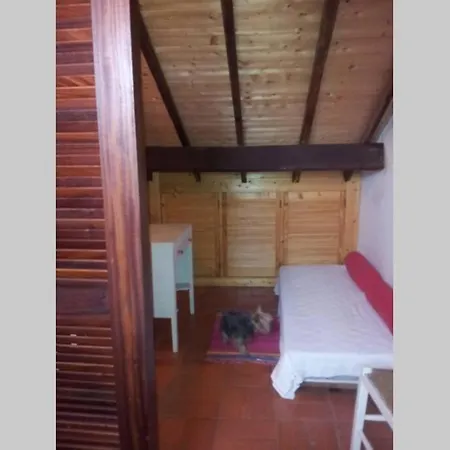 House - Island Tavira