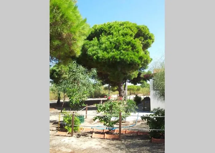 House - Island * Tavira