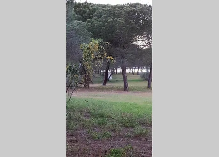 House - Island * Tavira