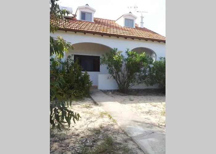 House - Island * 타비라