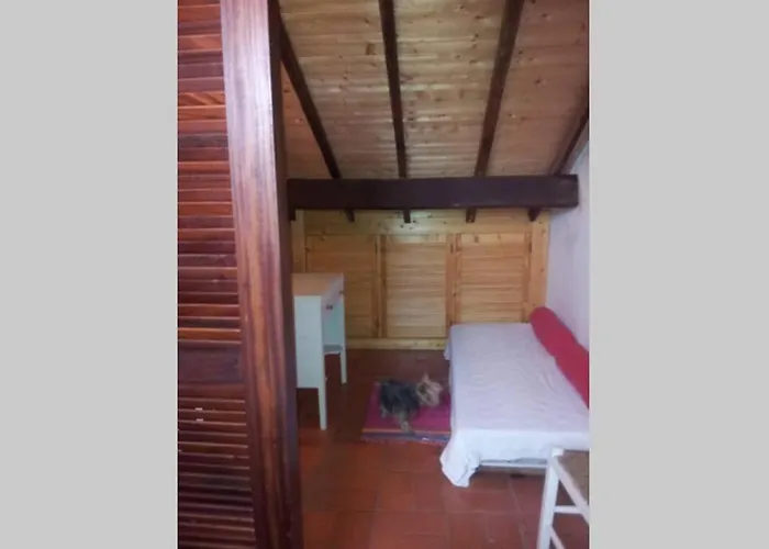 House - Island Tavira